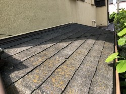 苔が生えて傷んだ下屋