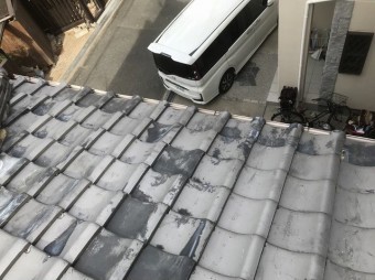 現地調査