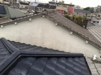 ルーガ雅設置中