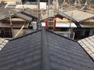 ルーガ雅設置後