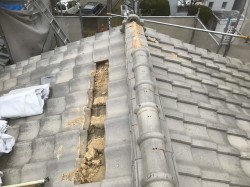 瓦の一列が剥がれています