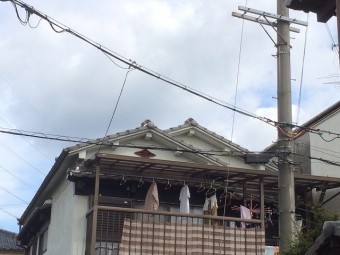屋根全景