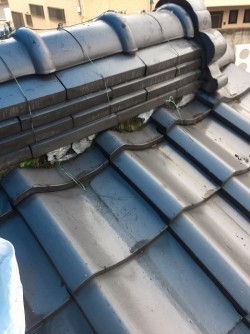 葛城市で下屋根にある漆喰に苔が繁殖