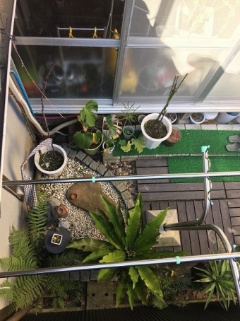 工事前の下屋根の真下の様子