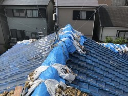 香芝市 釉薬瓦 無料点検