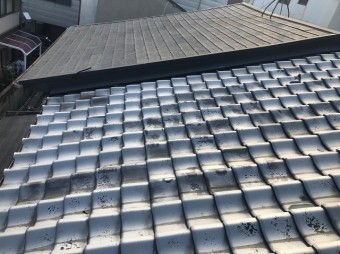 既存屋根4