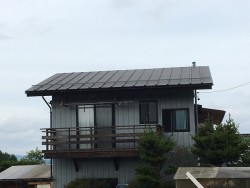 現地調査