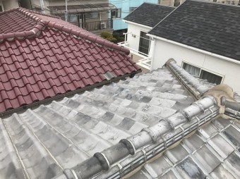 現地調査