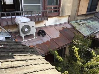 下屋根瓦撤去