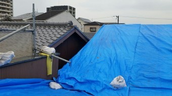 現地調査