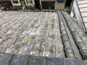 屋根現場確認の様子