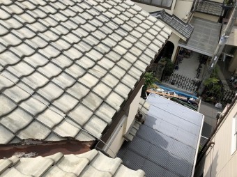 現地調査