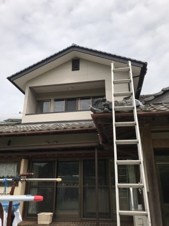 現地調査