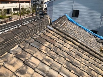 現場調査写真