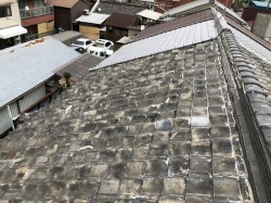 屋根現場確認の様子