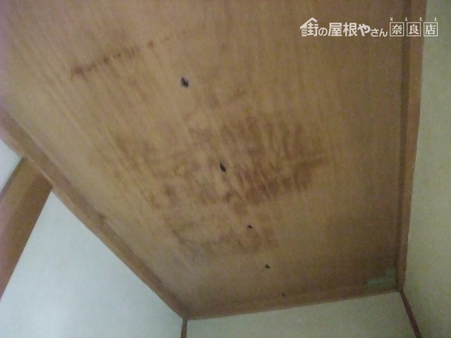 現調 室内