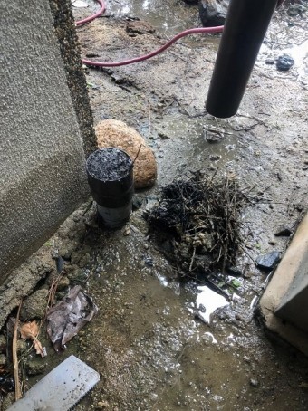 雨樋