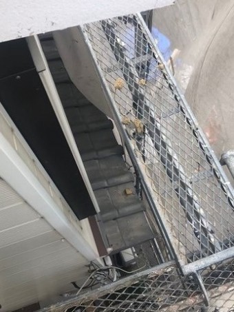 橿原市 応急処置済み 下屋根
