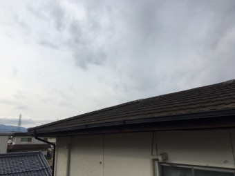現地調査