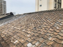 既存屋根2