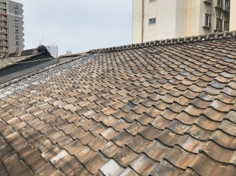 既存屋根2