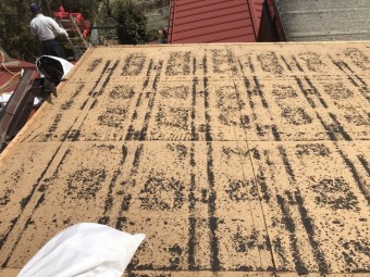 トタンを剥がした屋根