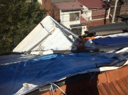 現場調査屋根