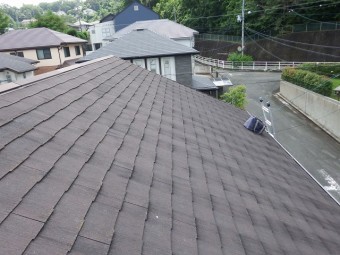 大屋根の現場調査の様子