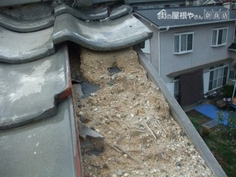 現調
