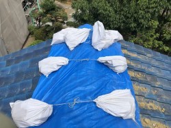 香芝市 釉薬瓦 無料点検