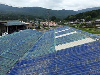 波型スレート張り替え