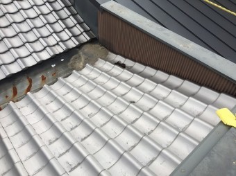 現地調査
