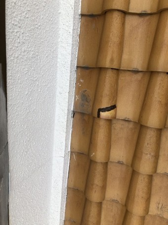 S瓦の欠けを発見