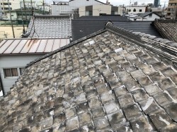 屋根現場確認の様子