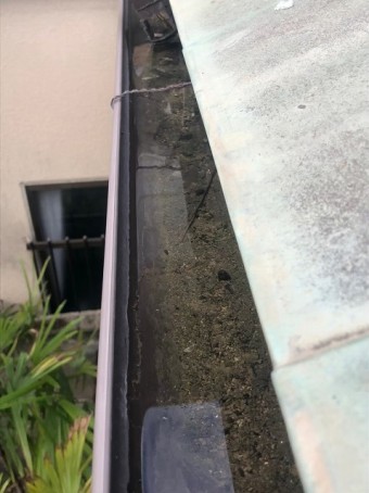 雨樋