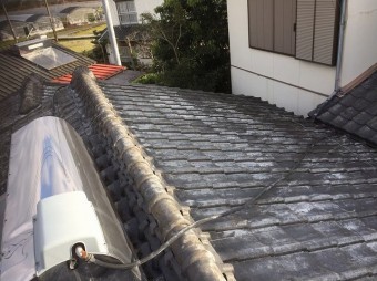 現場調査5