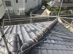 現地調査