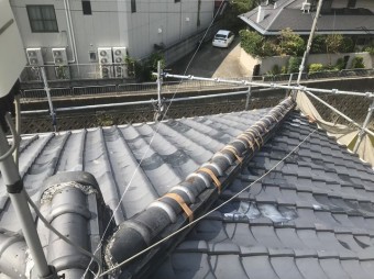 現地調査