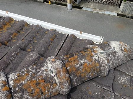 苔が付着した棟瓦
