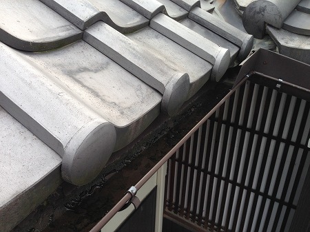 雨水が溜まってます