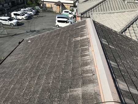 色あせた大棟まわりの屋根
