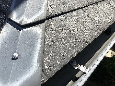 軒先割れ（ワンダセラ）