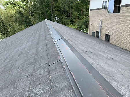 施工前のカラーベスト状態