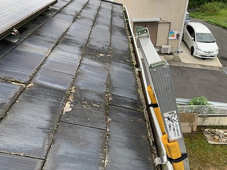 太陽光付き屋根の汚れ