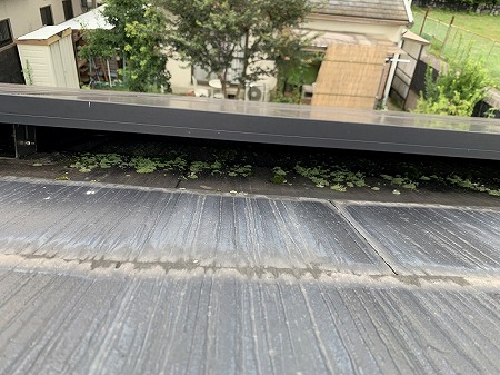 太陽光下の苔発生