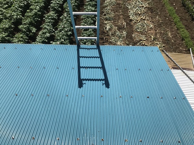 大和郡山市の青色トタン波板屋根にはしごを掛けての無料点検