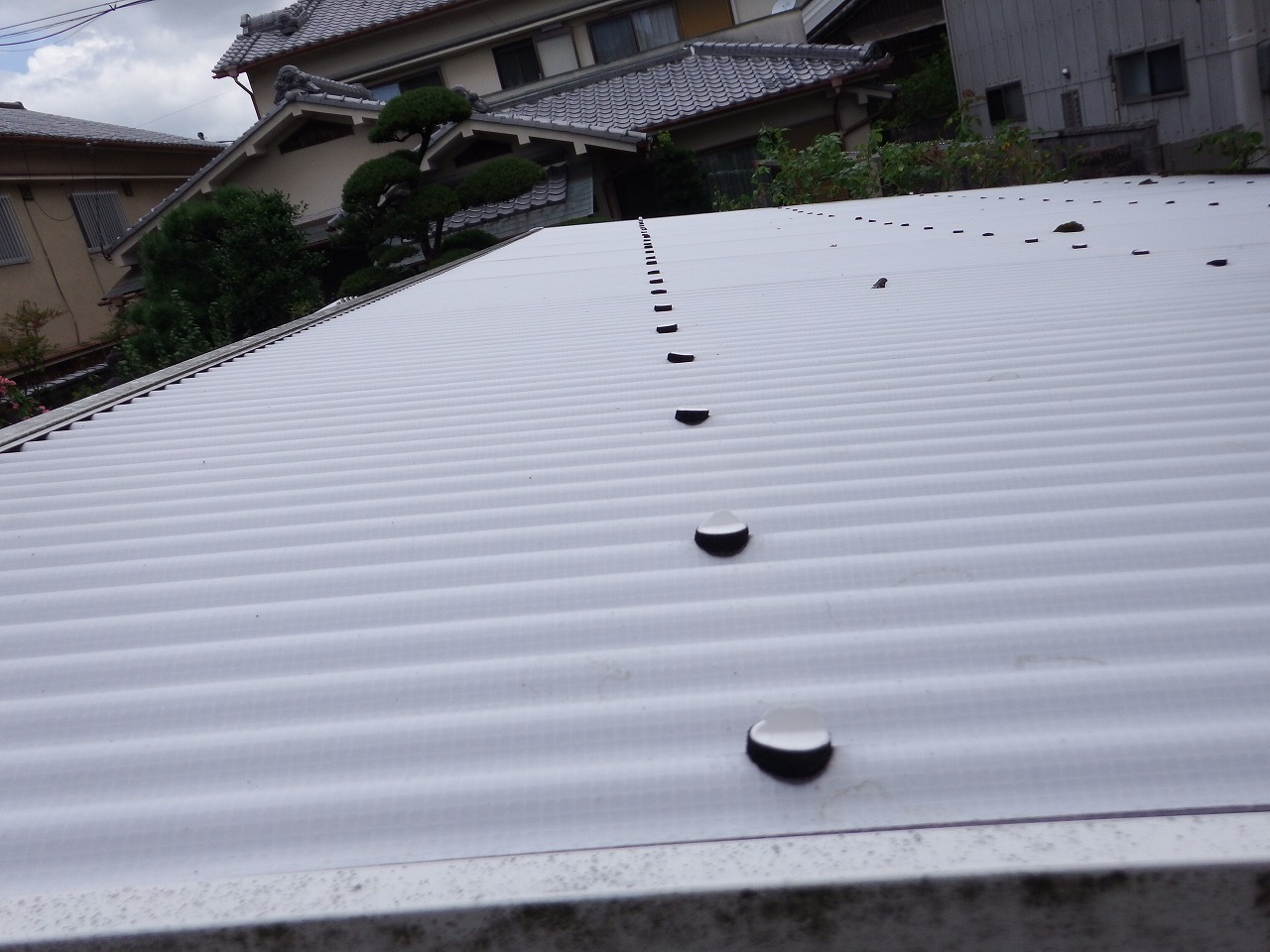 奈良市の波板屋根、はしごに上って上から確認