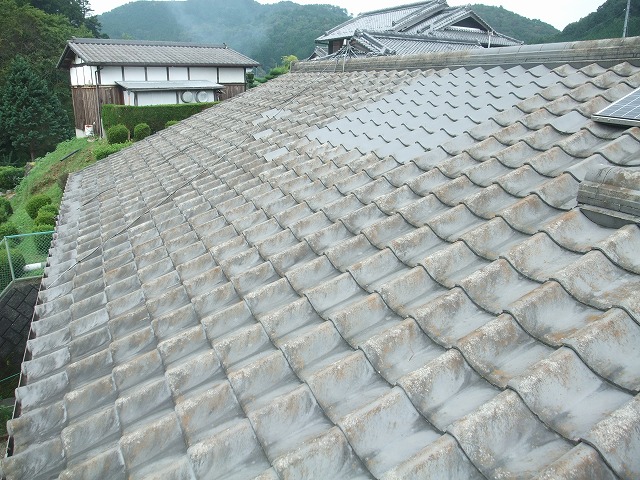 工事前屋根の全景