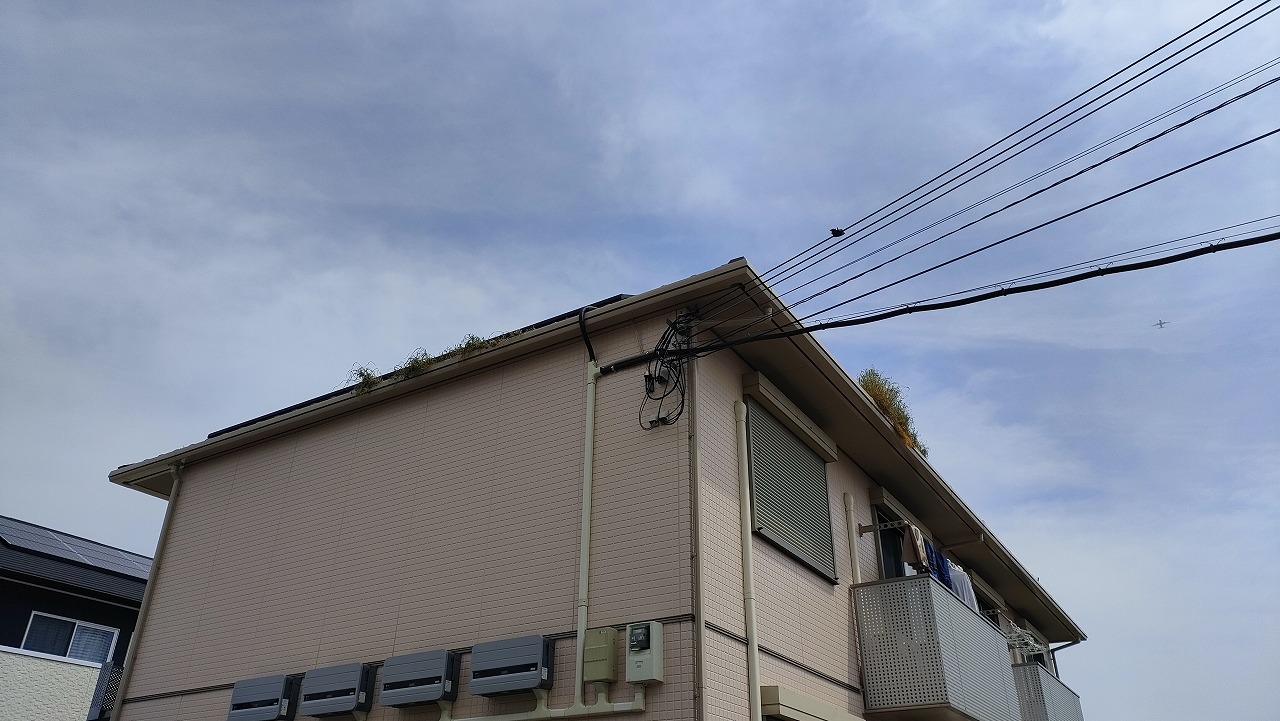斑鳩町　ハイツ屋根に草木が！太陽光パネルの隙間掃除で鳥の巣と雑草を根本解決！【ブログ】