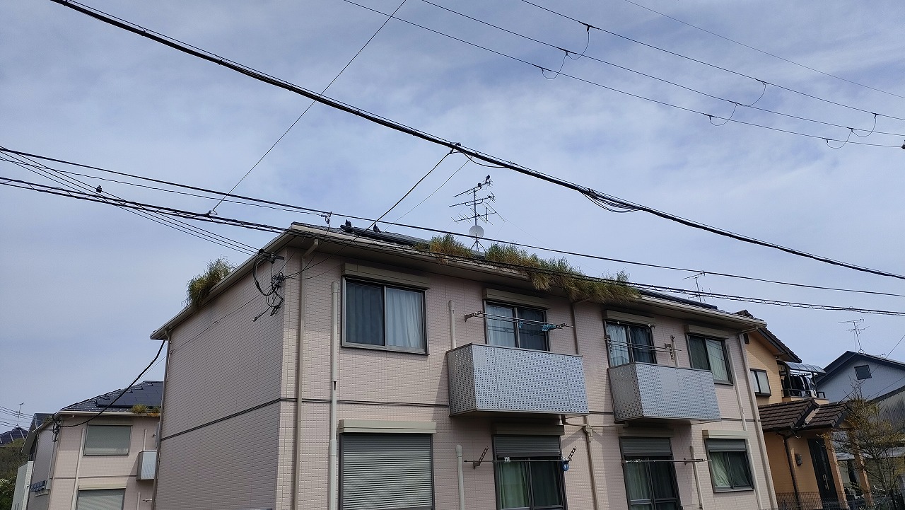 斑鳩町現地調査